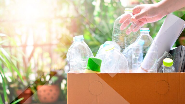 Promoviendo eficazmente el reciclaje en empresas modernas