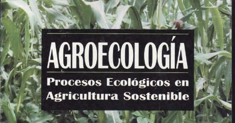 Proyecto de huerto colectivo y sus combinaciones explicadas