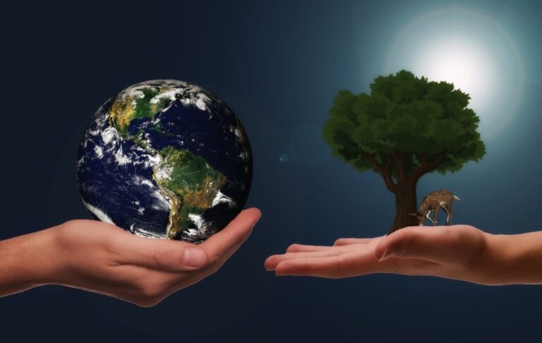 Qué impacto tiene el reciclaje en la biodiversidad