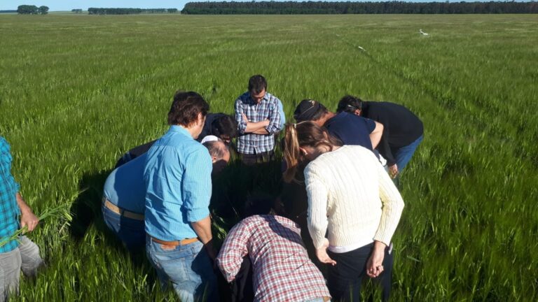 Qué papel juegan los seminarios de capacitación agrícola