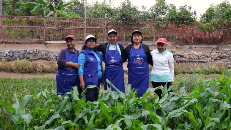 Qué retos enfrentan las mujeres en la agricultura urbana