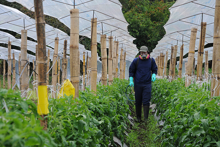 Qué tecnologías disminuyen la dependencia de pesticidas