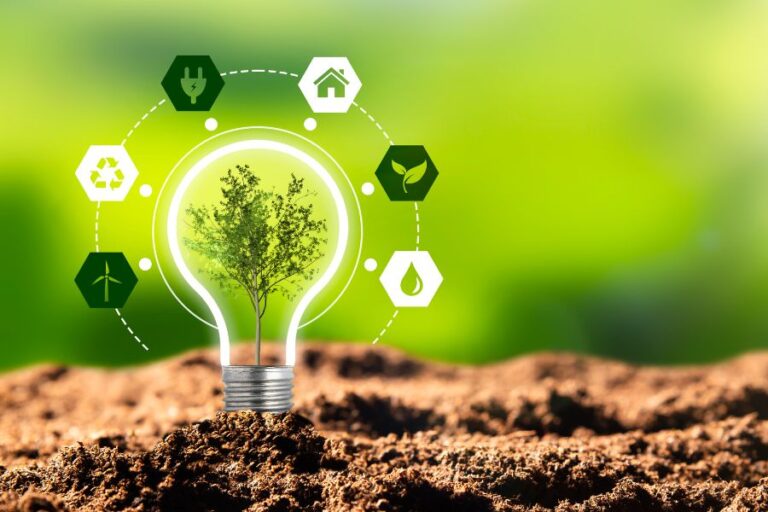 Qué tendencias hay en certificaciones de sostenibilidad