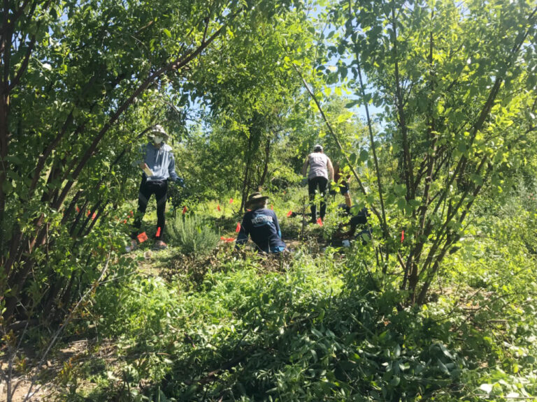 Senderismo urbano y su conexión con la agricultura sostenible