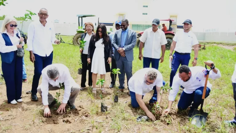 Transformando espacios vacíos en áreas productivas con agricultura