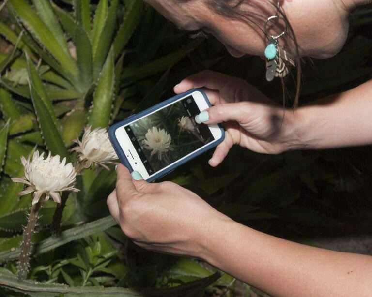 Uso de redes sociales para concientizar sobre biodiversidad